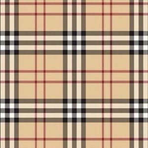 Meet your Posher, Aviana